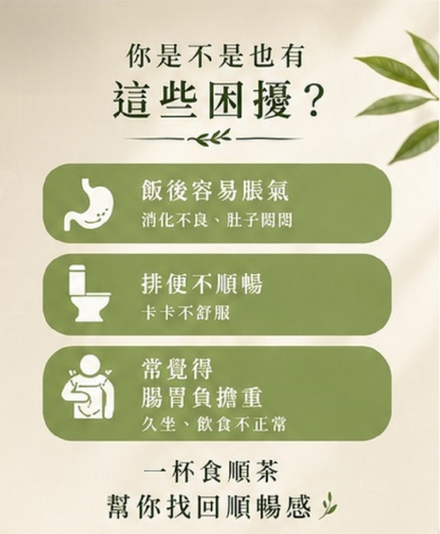 食順茶-超值經濟包-二袋組